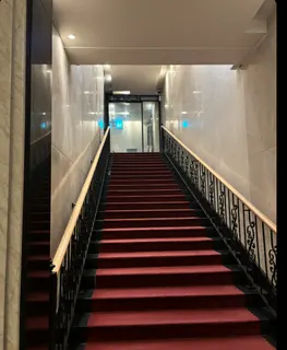 피카소