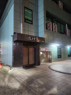소나무