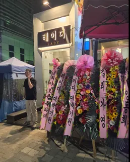 레이디